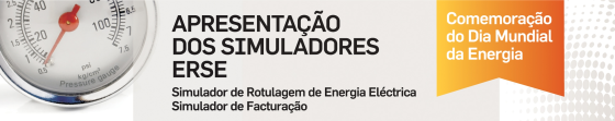 ERSE Simulador Energia Electrica